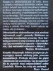 Krzysztof Albin • Reklama. Przekaz, odbiór, interpretacja